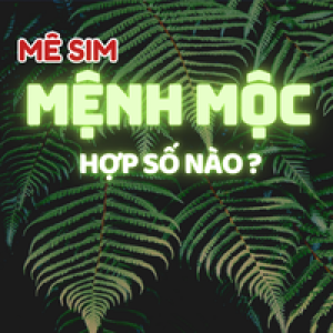 “Sim hợp mệnh Mộc – Bí mật của những con số mang lại tài lộc và thành công”