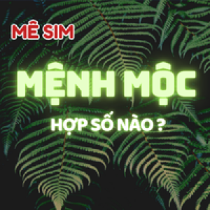 “Sim hợp mệnh Mộc – Bí mật của những con số mang lại tài lộc và thành công”