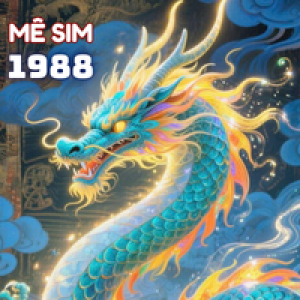 Sinh năm 1988 hợp số nào?