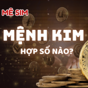 “Kim – Ánh sáng kiêu hãnh, quyền lực và phú quý ????”