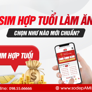 Hướng dẫn thủ tục làm lại sim Vinaphone bị hỏng hay mất