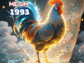 Sinh năm 1993 hợp số nào ?