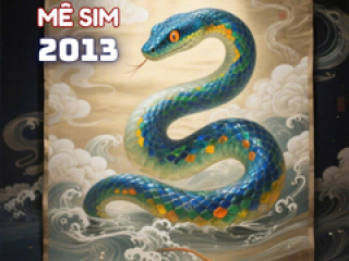 Sinh năm 2013 hợp số nào ?